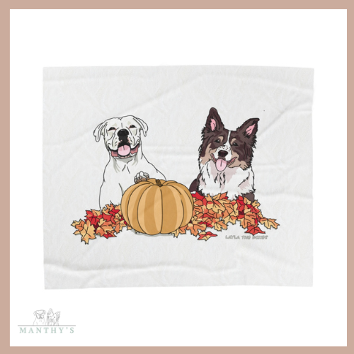 Layla and Luna Fall Plush Blanket
