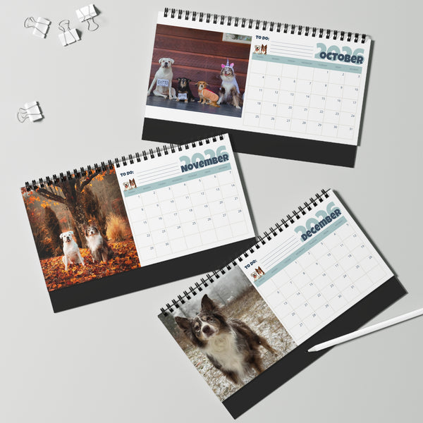 Layla the Boxer 2026 Desktop Calendar