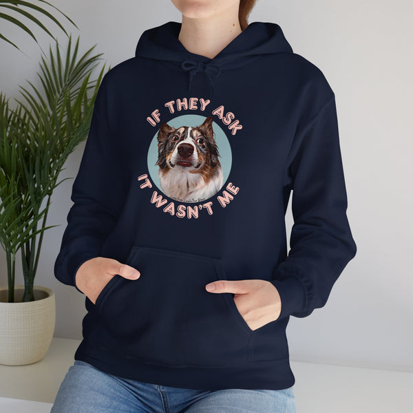 If They Ask It Wasn't Me Hoodie