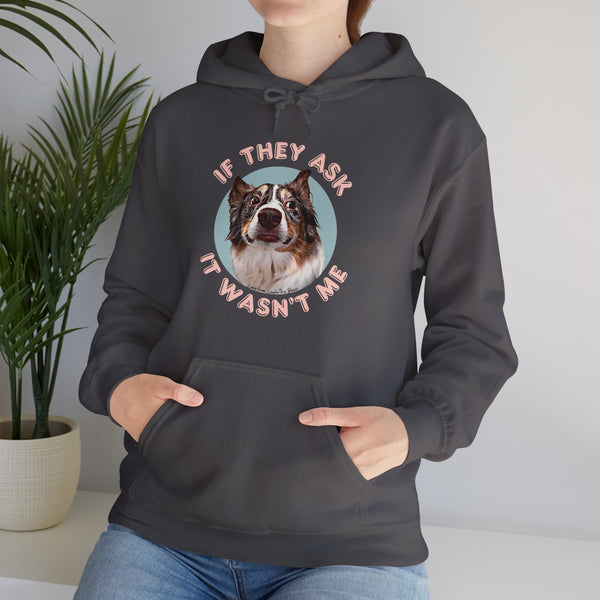 If They Ask It Wasn't Me Hoodie