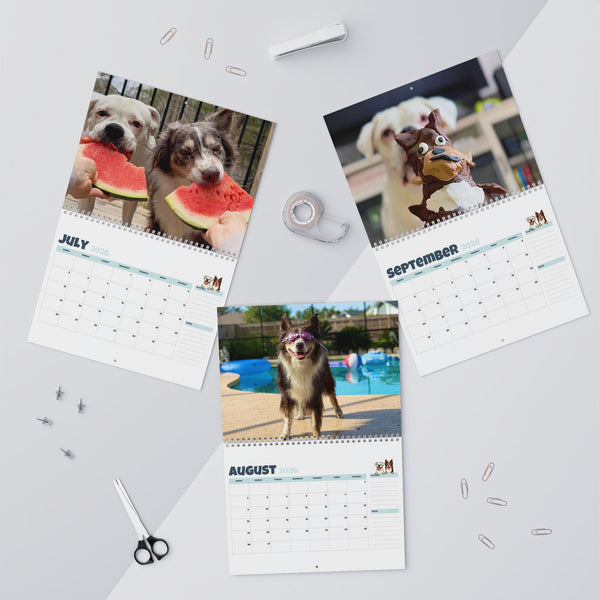 Layla the Boxer 2026 Wall Calendar