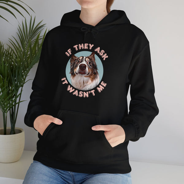 If They Ask It Wasn't Me Hoodie