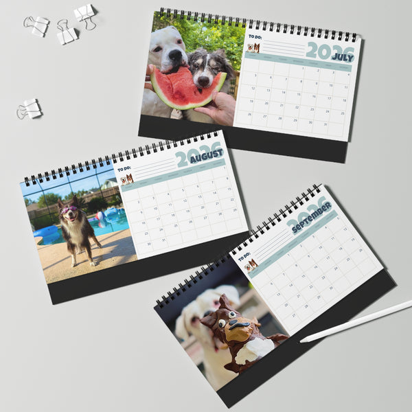 Layla the Boxer 2026 Desktop Calendar