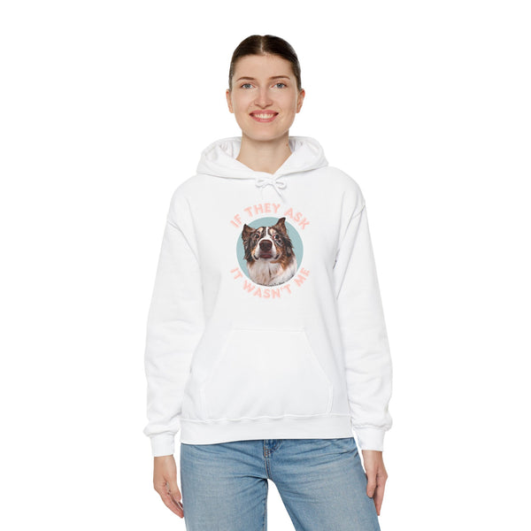 If They Ask It Wasn't Me Hoodie