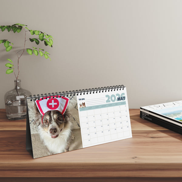 Layla the Boxer 2026 Desktop Calendar