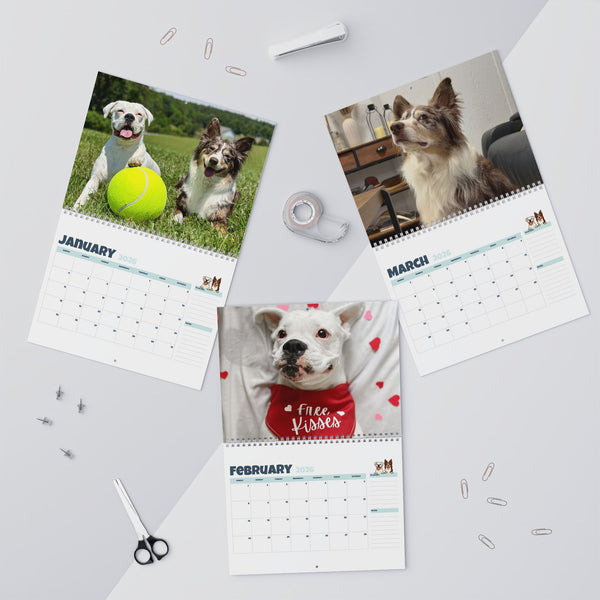 Layla the Boxer 2026 Wall Calendar