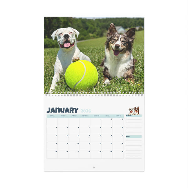 Layla the Boxer 2026 Wall Calendar