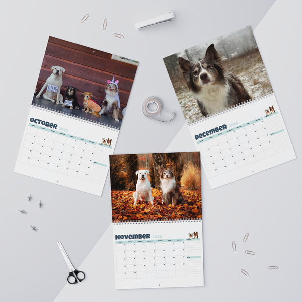 Layla the Boxer 2026 Wall Calendar