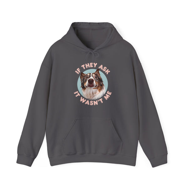 If They Ask It Wasn't Me Hoodie