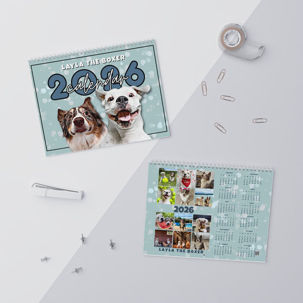 Layla the Boxer 2026 Wall Calendar