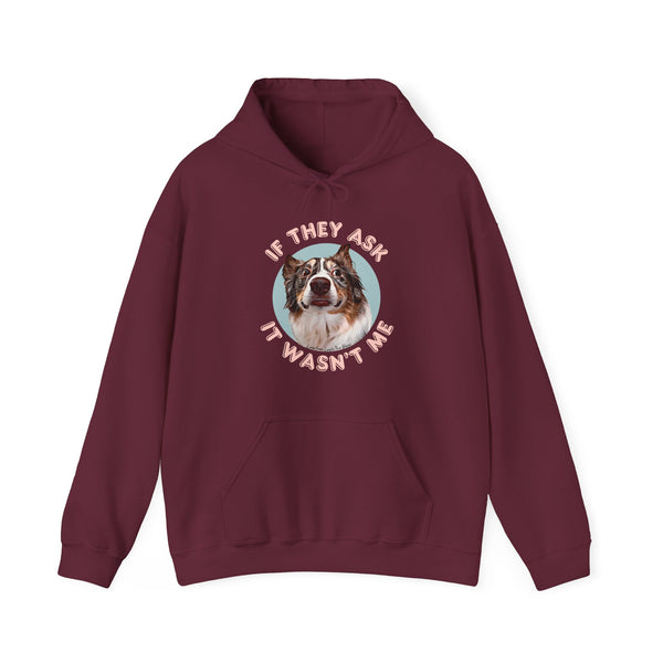 If They Ask It Wasn't Me Hoodie