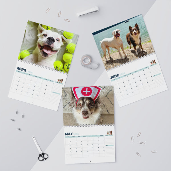 Layla the Boxer 2026 Wall Calendar