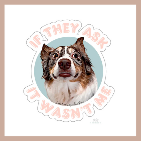If They Ask It Wasn’t Me Sticker