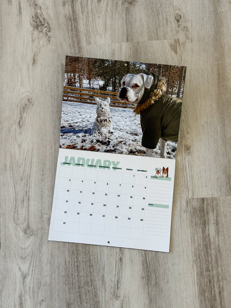 SIGNED 2027 Layla the Boxer Calendar w/ Bonus Recipes