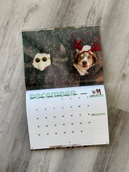 SIGNED 2027 Layla the Boxer Calendar w/ Bonus Recipes