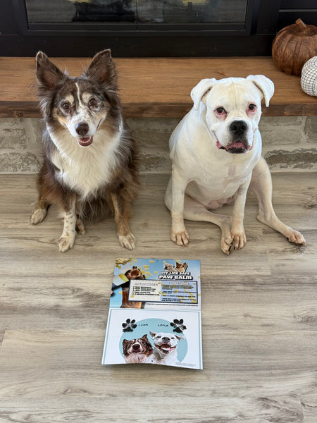SIGNED 2027 Layla the Boxer Calendar w/ Bonus Recipes