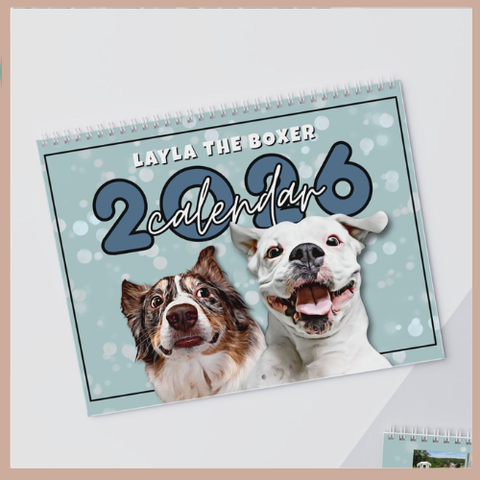 Layla the Boxer 2026 Wall Calendar