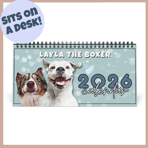 Layla the Boxer 2026 Desktop Calendar